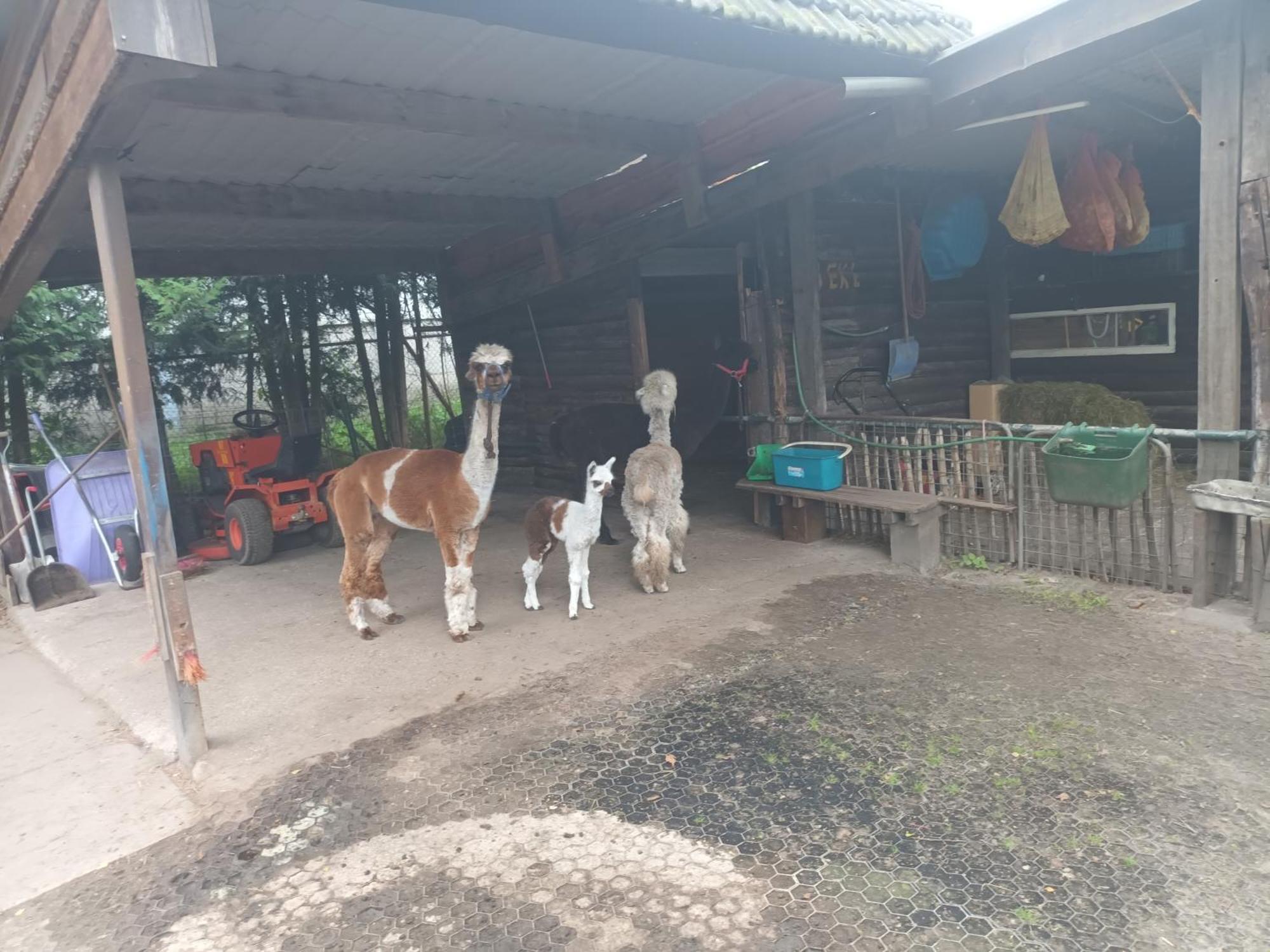 Best Boerderij B&B Εξωτερικό φωτογραφία